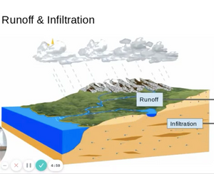 Learnt Biology Tutor Morgan P Teaches The Water Cycle Infiltration vs. Runoff