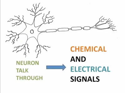 Learnt ESL Tutor Akshara Discusses Neuronal Activity