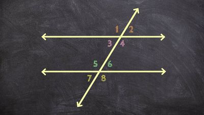 The Power of Supplementary Angles: Applications in Math and Science
